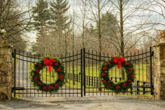 fence-5